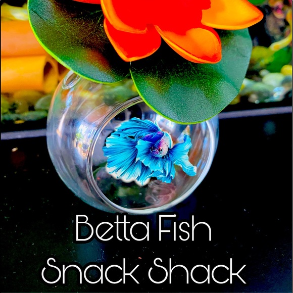 🔥Betta fish feeding house. No more messy tanks. - Picture 6 of 17